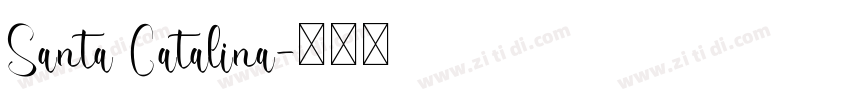 Santa Catalina字体转换